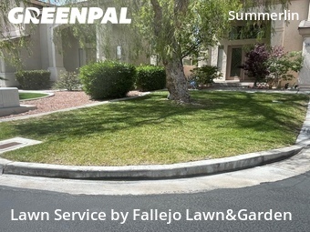 Landscapers In Las Vegas,89135,Landscaping Installation by Fallejo Lawn&Garden, work completed in Jun , 2026