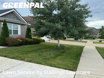 Lawn Mowing Service nearby St. Peters, MO, 