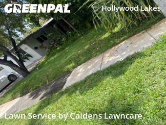 Work completed by grass-cutting-businesses-in-Hollywood-CA