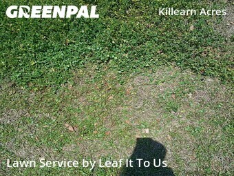 Grass Cut nearby Tallahassee, FL, 