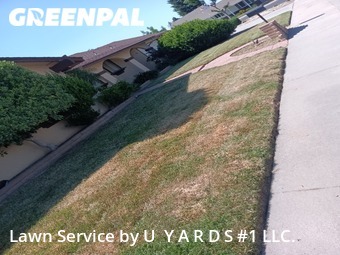 Lawn Care Service nearby Modesto, CA, 