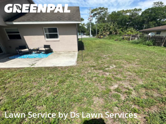 Lawn Maintenance nearby Orlando, FL, 