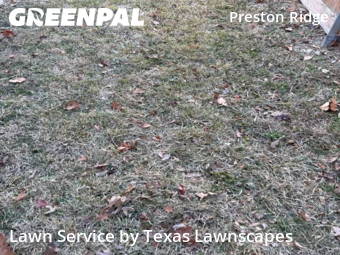 Landscape Design In Plano,75093,Landscaping Renovation by Texas Lawnscapes, work completed in Feb , 2026