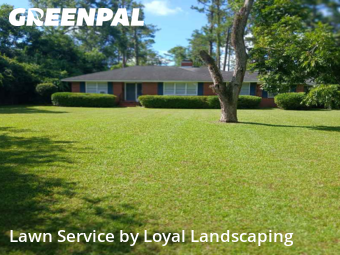 Yard Mowing nearby Valdosta, GA, 