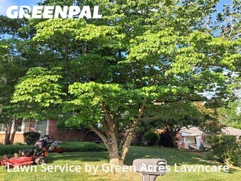 Lawn Mow nearby Johnson City, TN, 
