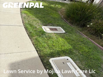 Work completed by yard-maintenance-professionals-in-Folsom-CA