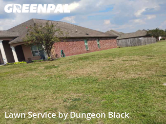 Yard Mowing nearby Denham Springs, LA, 