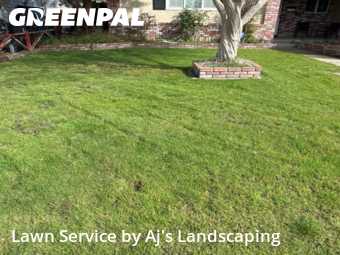 Work completed by cheap-lawn-cutting-businesses-in-Manteca-CA