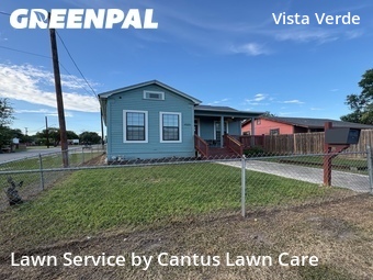Lawn Mow nearby San Antonio, TX, 