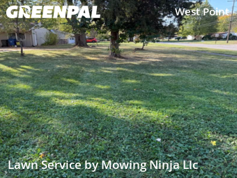 Yard Work in North Ridgeville, 44039, Front Yard Mowing by Mowing Ninja Llc, work completed in Nov , 2025