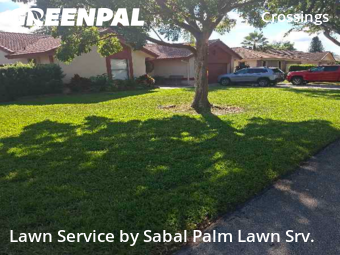 Lawn Maintenance in Coral Springs, 33065, Yard Care Services by Sabal Palm Lawn Srv., work completed in Nov , 2025