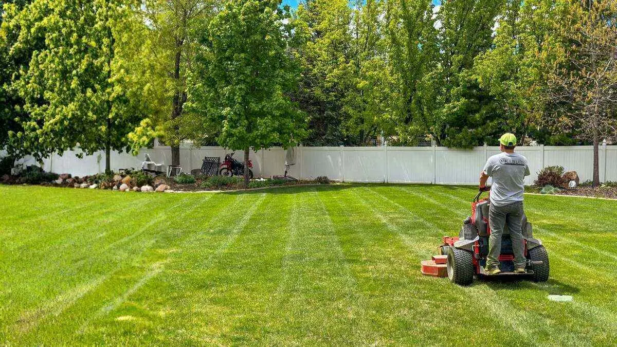 How to Choose the Best Lawn Care Company in Dallas in 2026 By Greenpal