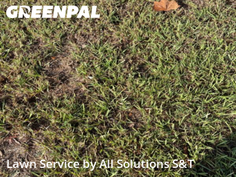 Yard Mowing nearby Haines City, FL, 