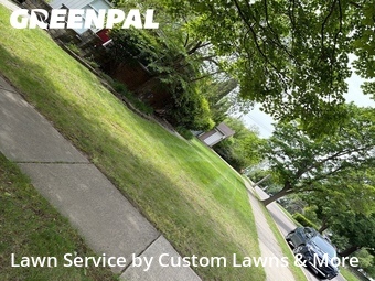 Lawn mowed in Northville, 48167