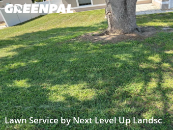 Lawn Care nearby Clermont, FL, 