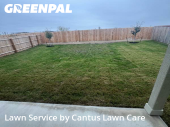 Yard Mowingin San Antonio,78253,Lawn Mowing by Cantus Lawn Care , work completed in Dec , 2025