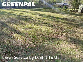 Lawn Cut nearby Tallahassee, FL, 
