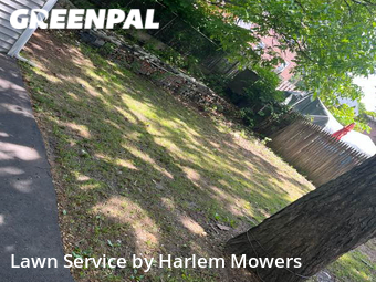 Lawn Cutting nearby Belleville, NY, 