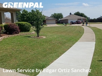 Commercial Landscaping In Mc Kinney,75072,Landscaping by Edgar Ortiz Sanchez, work completed in Jun , 2026