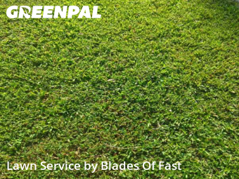 Lawn Maintenance nearby East Point, GA, 