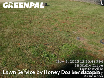 Weed Trimming in Bentonville, 72712, Weekly Mowing by Honey Dos Landscapin, work completed in Dec , 2025