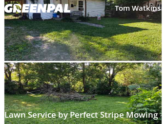 Yard Cutting nearby Springfield, MO, 