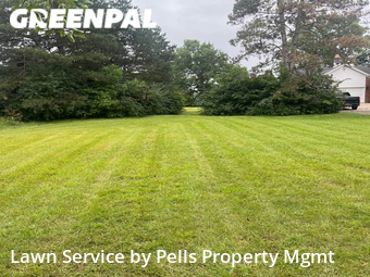 Lawn Mow nearby Ypsilanti, MI, 
