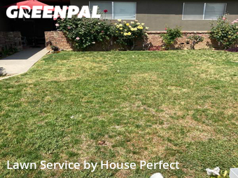 Grass Cut nearby Fresno, CA, 