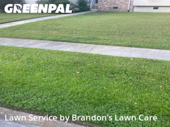 Yard Cutting nearby Savannah, GA, 