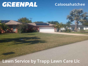 Grass Cutting nearby Cape Coral, FL, 