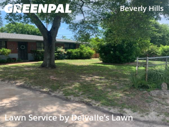 Lawn Care Service nearby Daytona Beach, FL, 