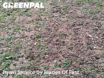 Lawn Mowing nearby East Point, GA, 
