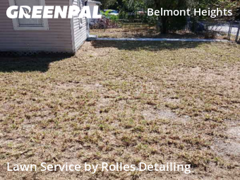 Lawn Cut nearby Tampa, FL, 