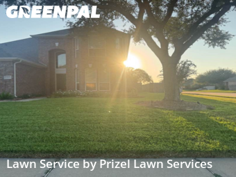 Grass Cuttingin Pearland,77584,Yard Cutting by Prizel Lawn Services, work completed in Nov , 2025