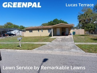 Lawn Mow nearby Merritt Island, FL, 