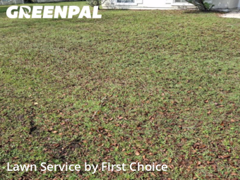 Lawn Mowing nearby Palm Coast, FL, 