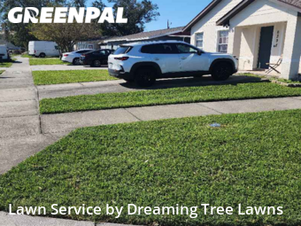 Grass Cut nearby Pinellas Park, FL, 