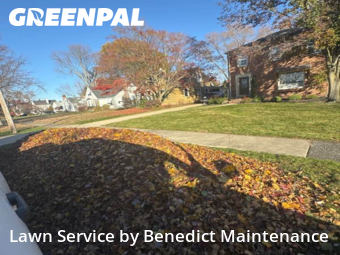 Yard Grooming in Fairview Park, 44126, Lawn Care by Benedict Maintenance, work completed in Dec , 2025