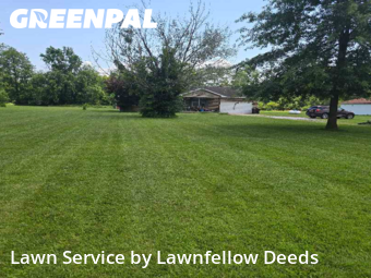 Backyard Mowing in Goshen, 45122, Grass Cutting by Lawnfellow Deeds, work completed in Dec , 2025