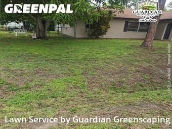 Yard Cutting nearby Fort Myers, FL, 