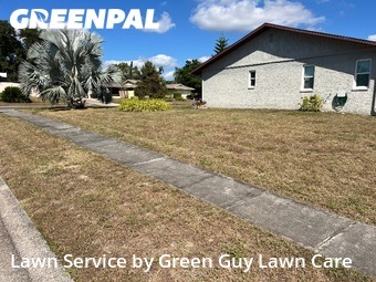 Grass Cutin Dunedin,34698,Yard Mowing by Green Guy Lawn Care, work completed in Jan , 2026