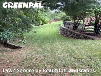Lawn Mow nearby Roanoke, VA, 