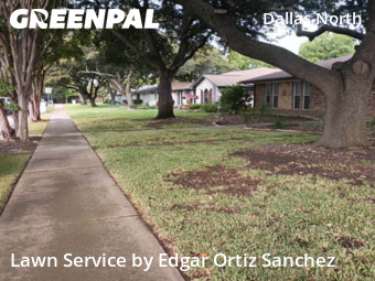 Grass Cutin Plano,75075,Lawn Care Service by Edgar Ortiz Sanchez, work completed in Nov , 2025