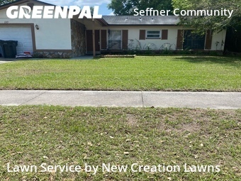 Lawn Care nearby Seffner, FL, 