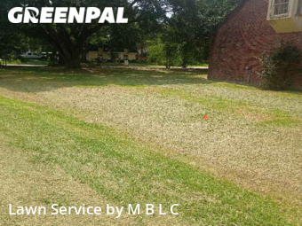 Yard Cutting nearby Lafayette, LA, 