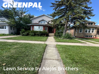 Yard Services in Maywood, 60153, Weed Trimming by Alejos Brothers, work completed in Oct , 2025