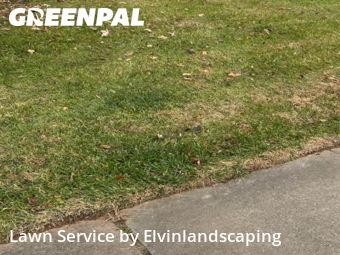 Lawn Cut nearby Woodlawn, MD, 