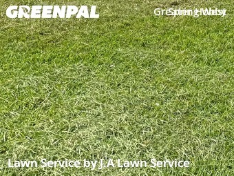 Lawn Mowin Spring,77388,Yard Cutting by J.A Lawn Service, work completed in Dec , 2025