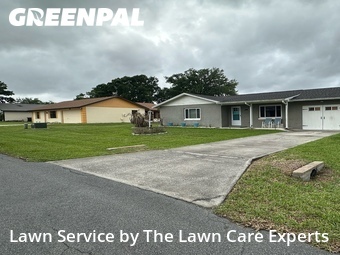 Lawn Cut nearby Lakeland, FL, 