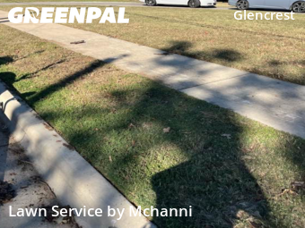 Lawn Cuttingin Fort Worth,76119,Lawn Service by Mchanni, work completed in Nov , 2025